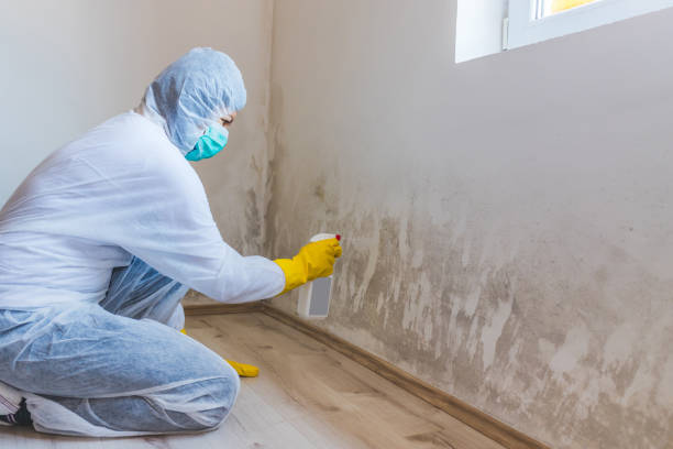 Attic mold on roof deck in Littlestown home